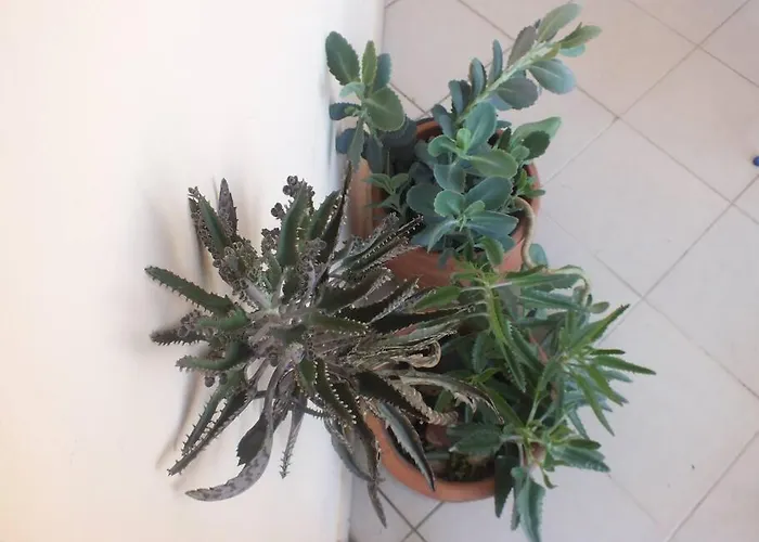 Apartman το των διακοπών σας