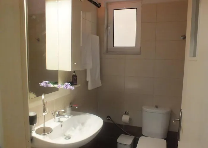 το των διακοπών σας *