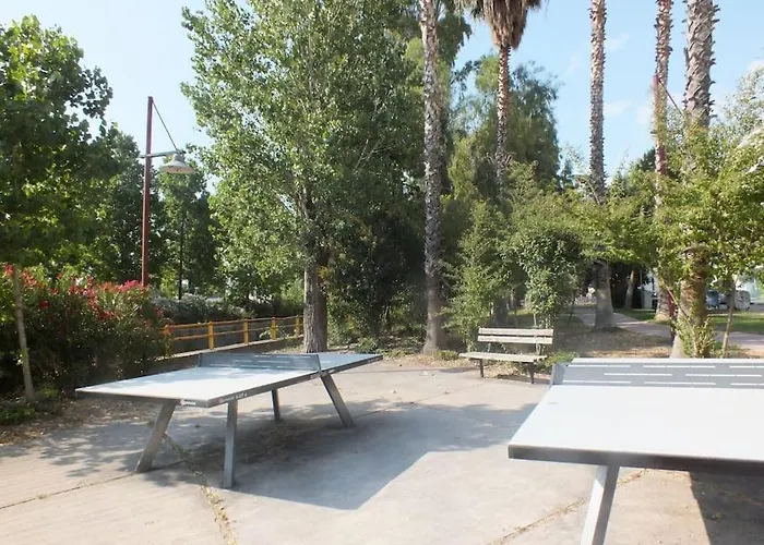 το των διακοπών σας *